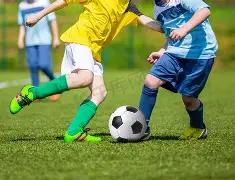 威尔希尔受,阿尔特塔激,立志成为教,凯发娱乐官网,凯发娱乐网页版,凯发娱乐官网入口,凯发娱乐官网,凯发娱乐首页