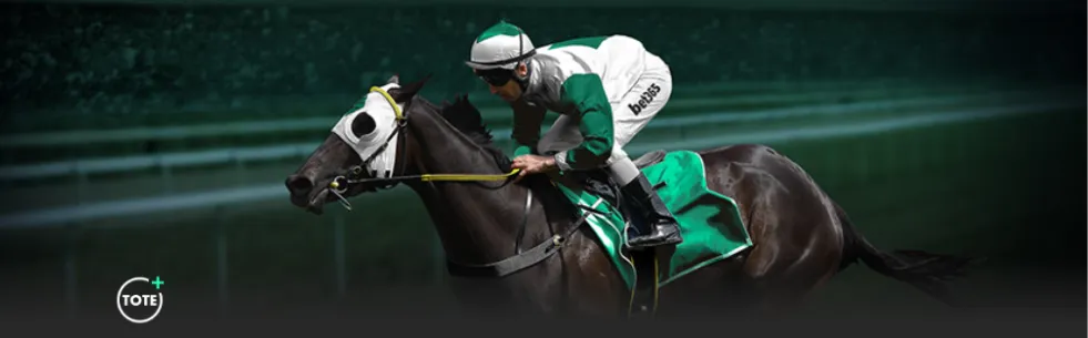 欧冠巅峰较,皇马与曼城,握手言和,凯发娱乐官网,凯发娱乐网页版,凯发娱乐官网入口,凯发娱乐官网,凯发娱乐首页