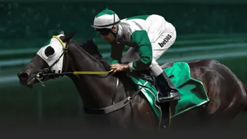 欧冠巅峰较量：皇马与曼城握手言和